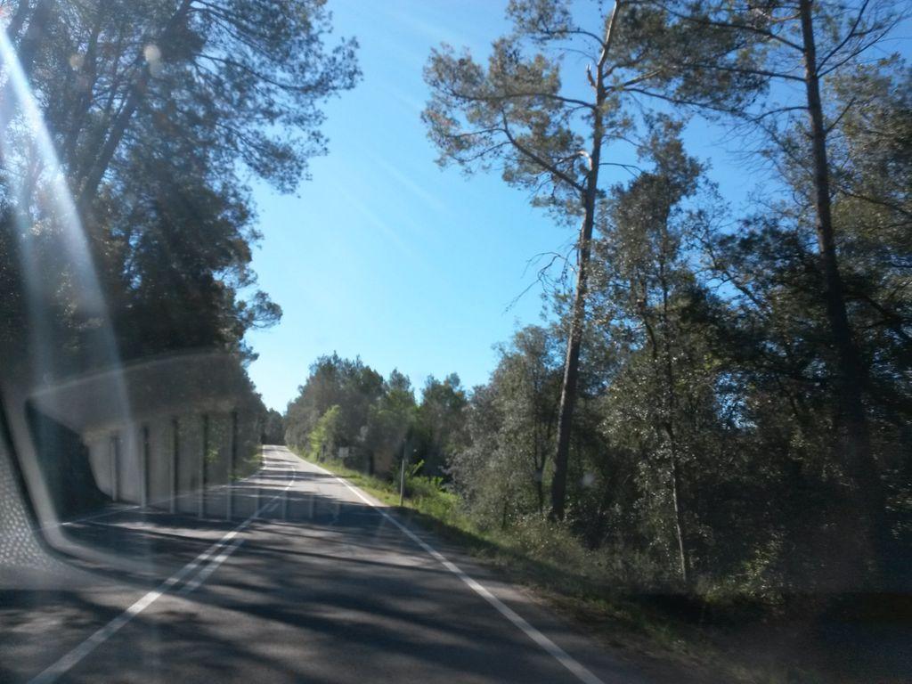 View at km 1.8