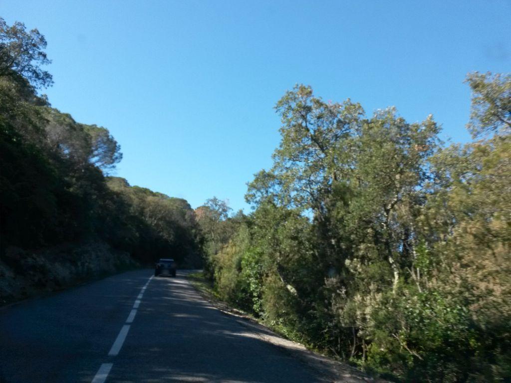 View at km 7.5