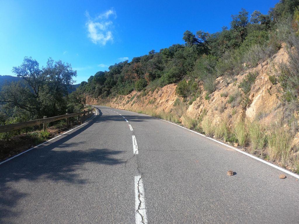 View at km 0.3