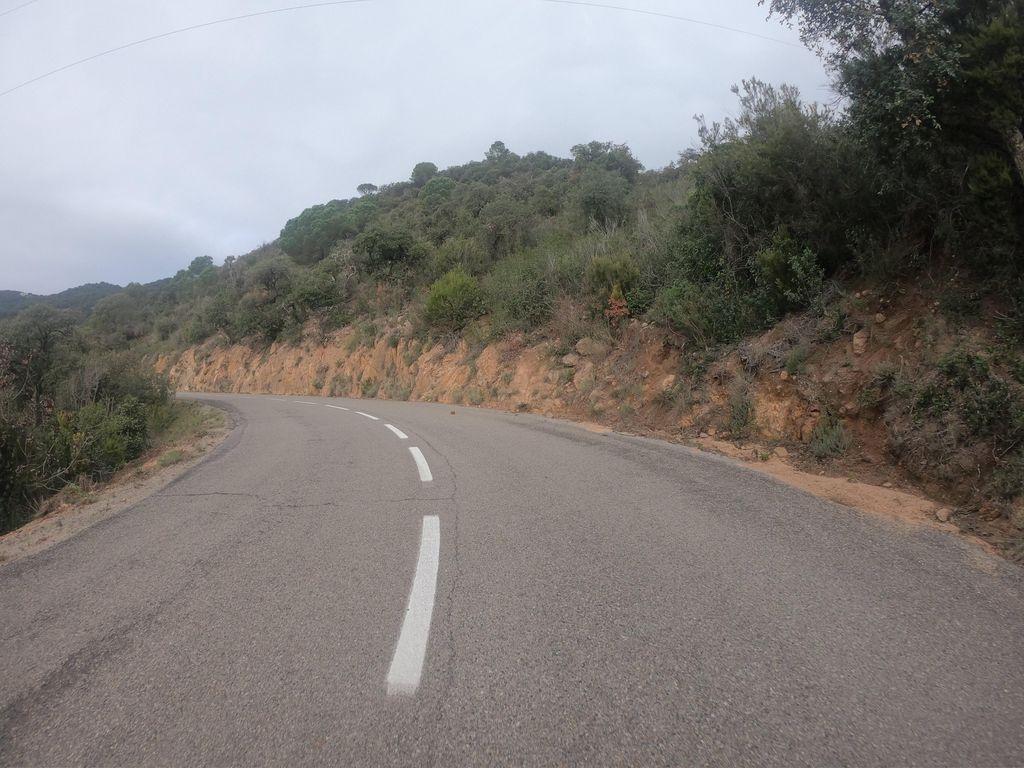 View at km 1.4