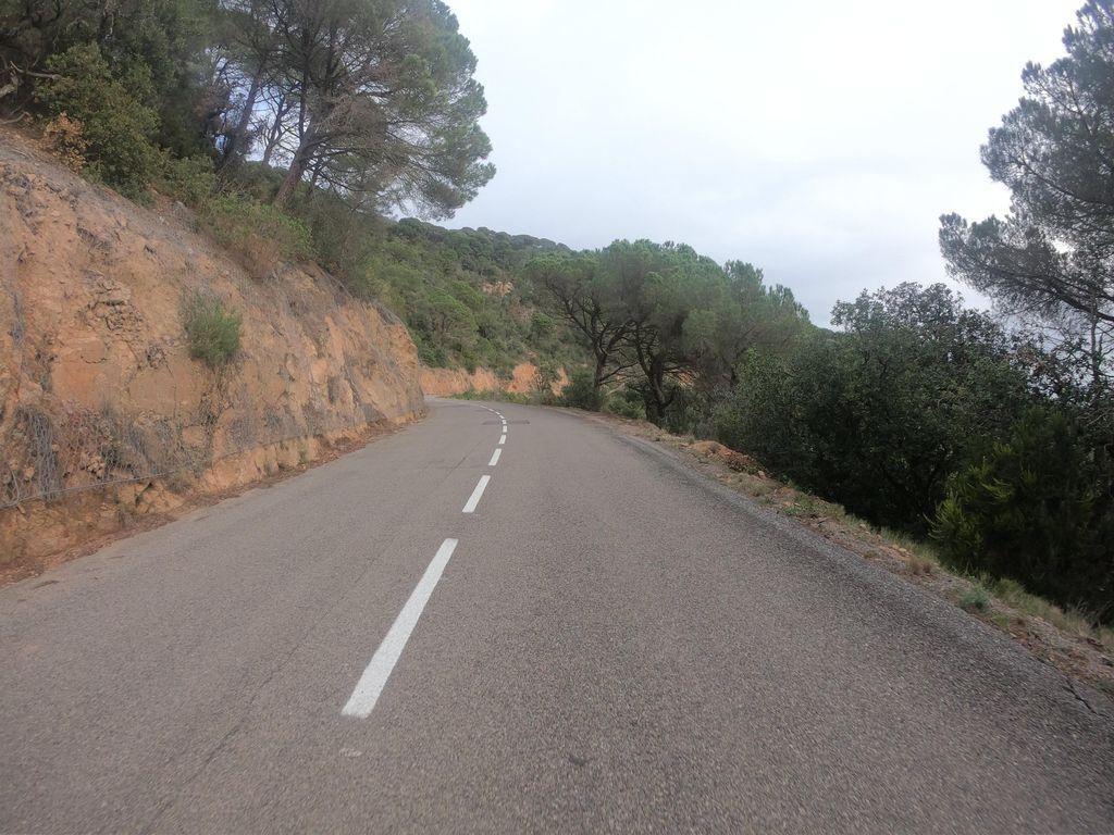 View at km 2.5