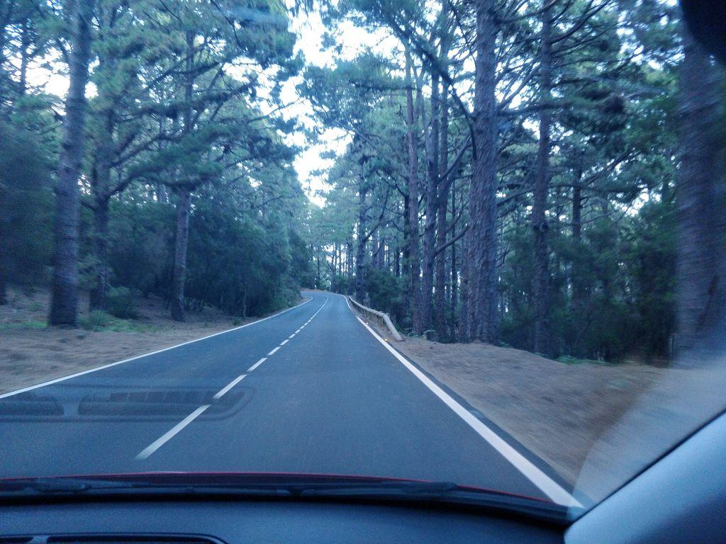 View at km 14.4