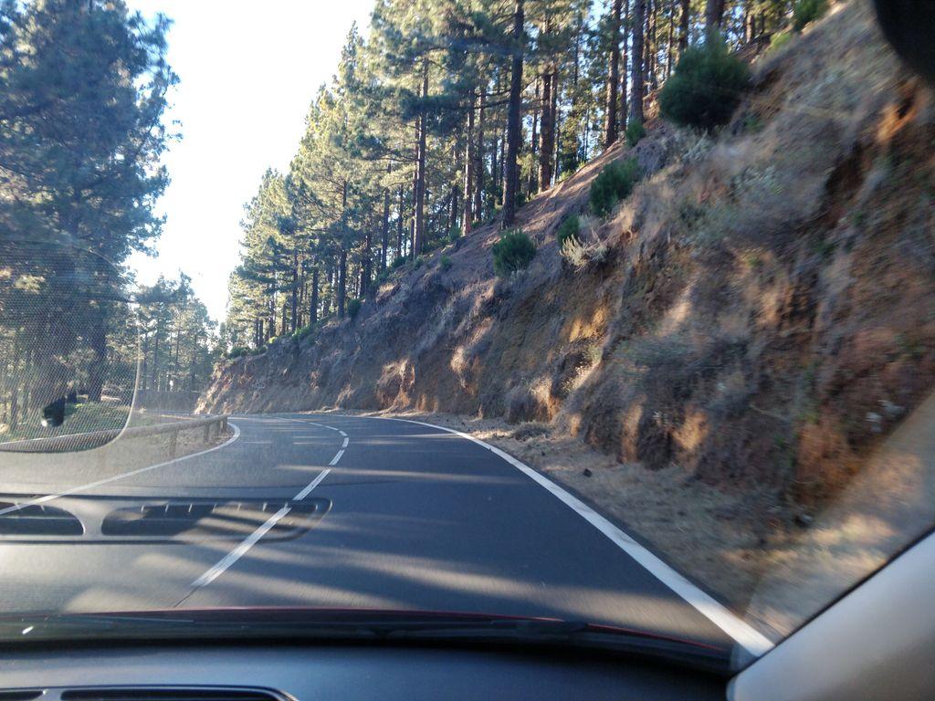 View at km 19.5