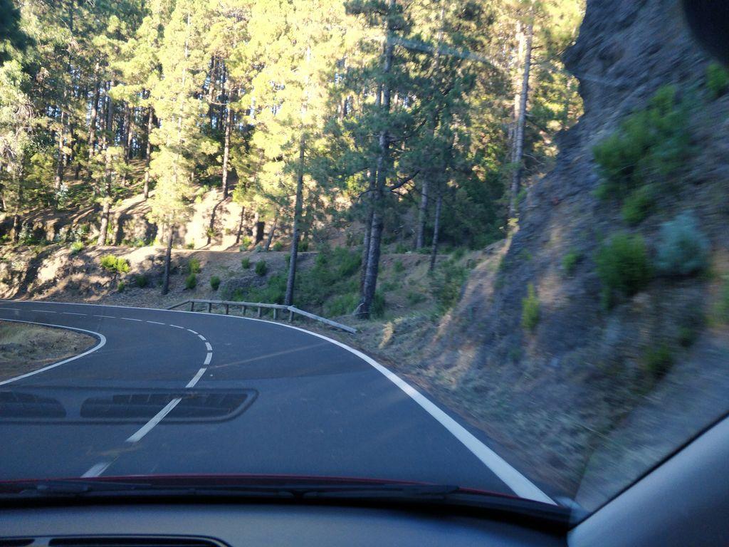 View at km 20