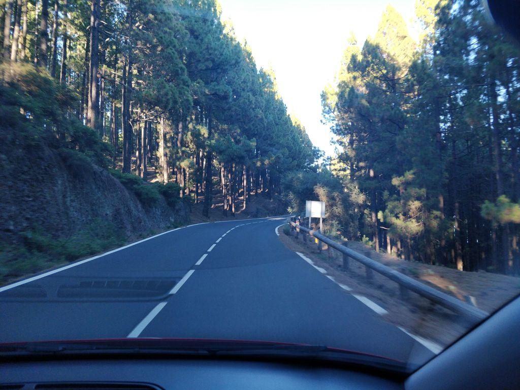 View at km 22