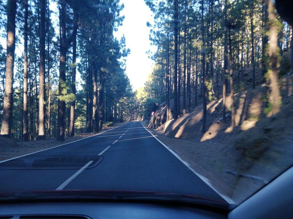 View at km 23