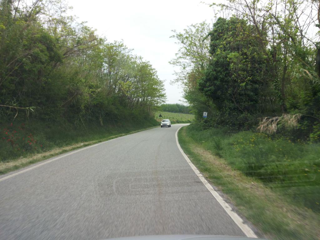 View at km 59