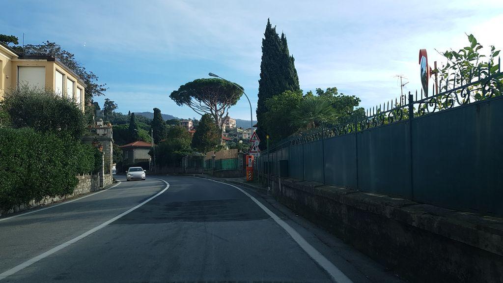 View at km 11.5