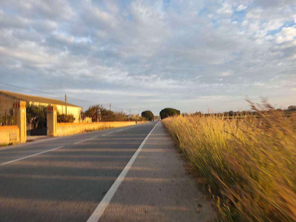 View at km 11.6