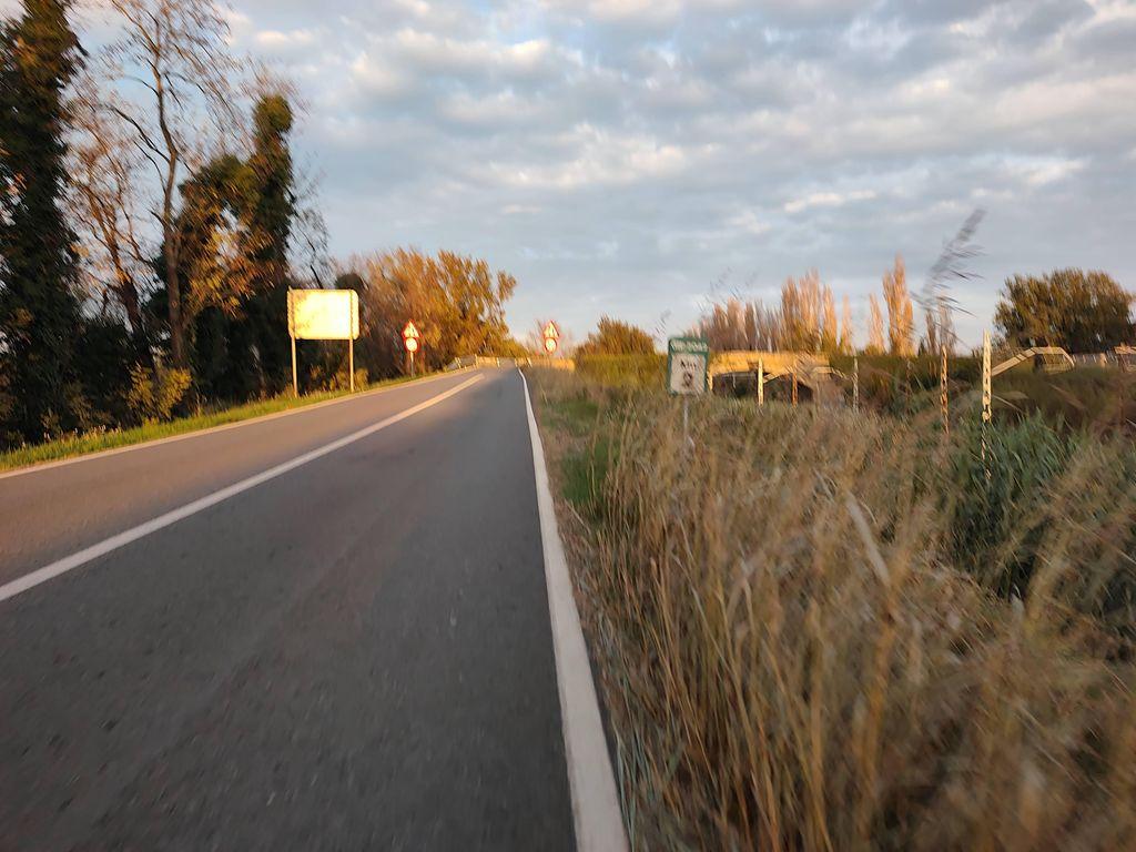 View at km 13.1