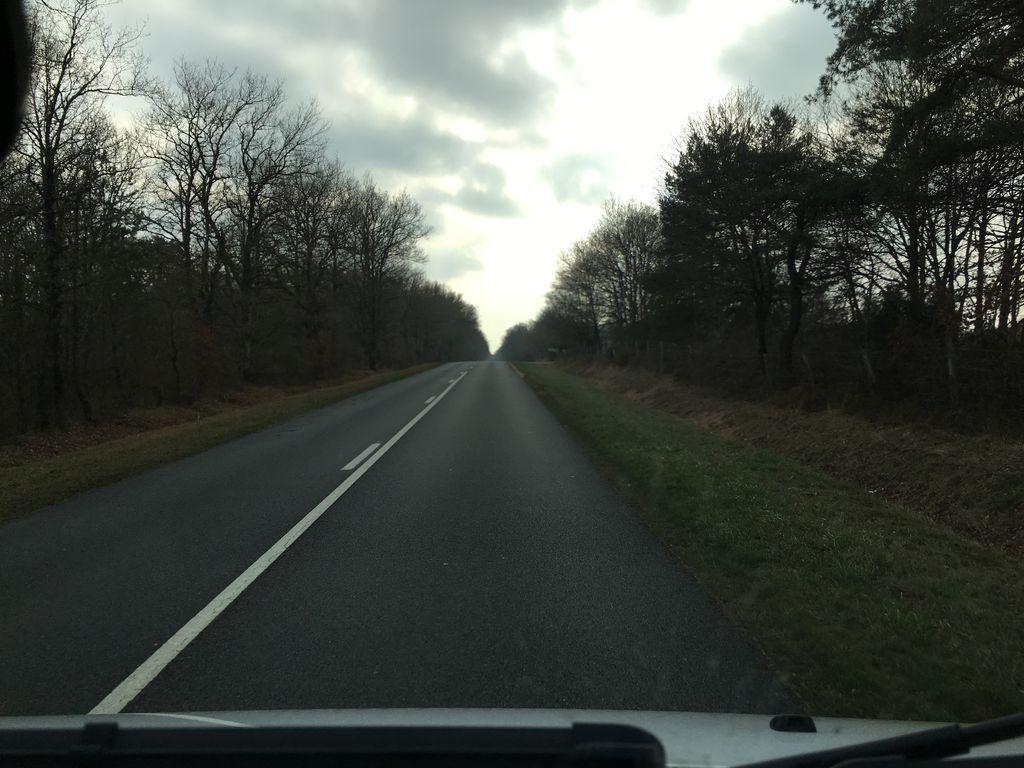View at km 41.8