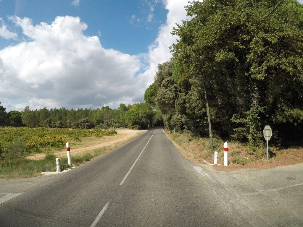 View at km 3.9