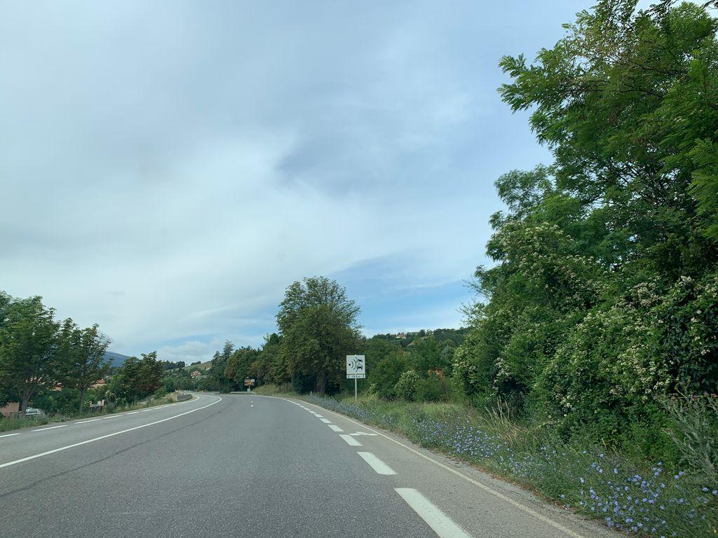 View at km 135.5
