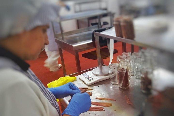 Santoña and Anchovy Factory tour from Santander - small groups