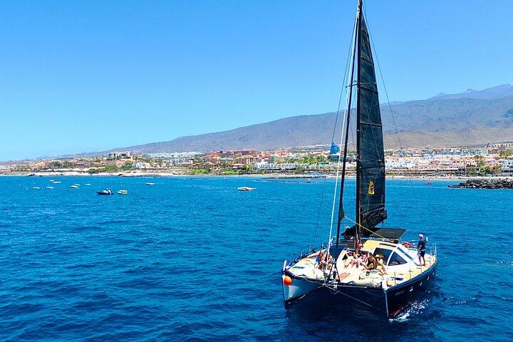 Tenerife Whale Watching Only Adults Exclusive Chill Out Catamaran