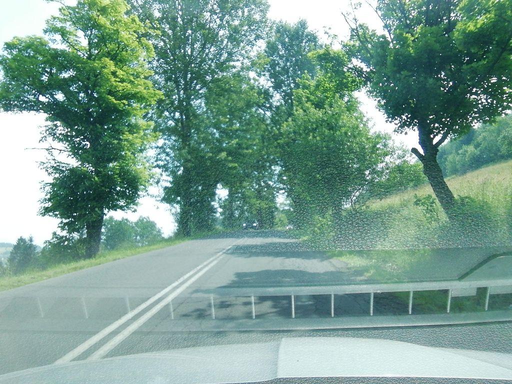 View at km 5